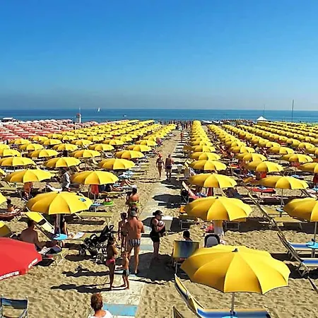 Reyt Rimini